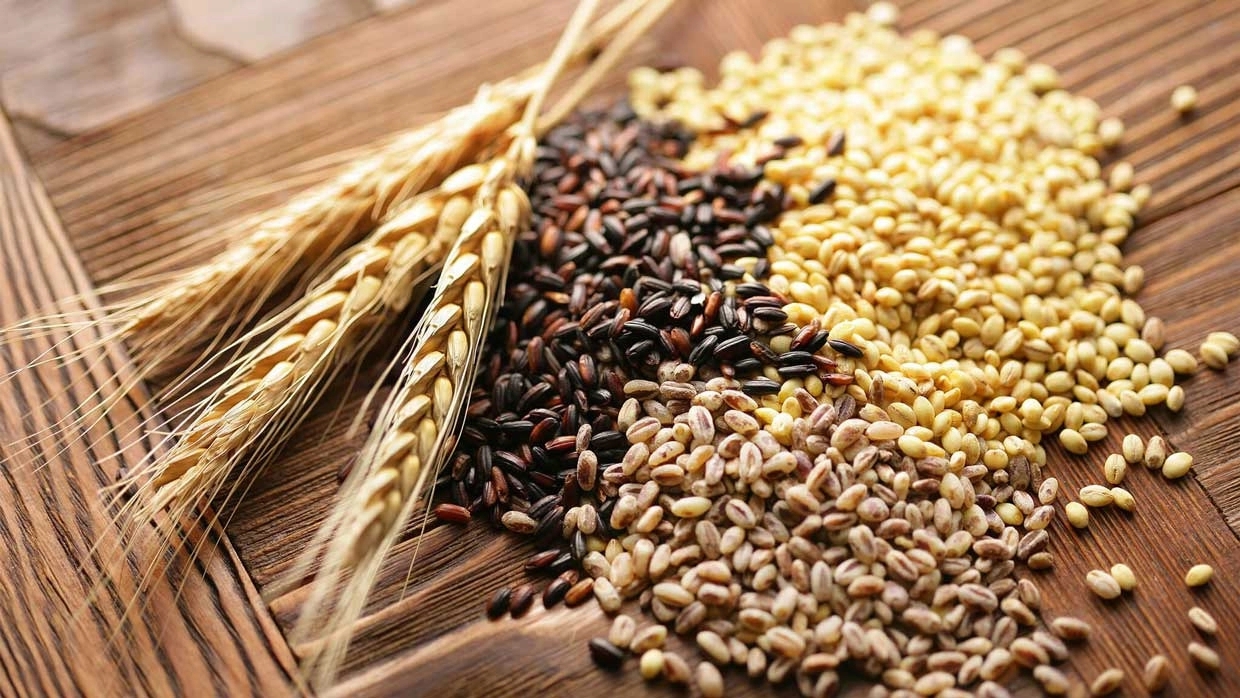 پخش عمده غلات با قیمت مناسب در زنجان