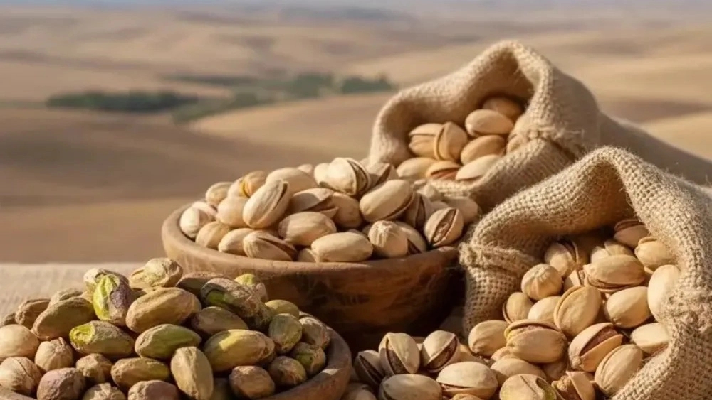 خرید مستقیم از باغداران پسته کرمان در فروشگاه مولایی