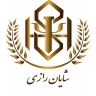 شایان رازی | مشاور، کوچ، متخصص کسب و کار و هدایت شغلی و تحصیلی