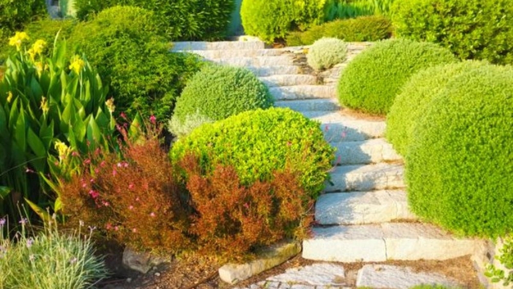 محوطه سازی باغ و ویلا در فومنات و ماسوله