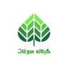 فروشگاه گیلانه سوغات، فروش آجیل و خشکبار در لاهیجان