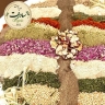 ادویه جات سادات، فروش و پخش ادویه های ترکیبی در تهران