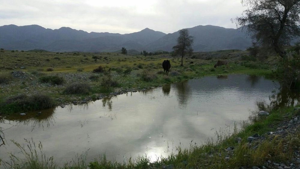 اجاره اقامتگاه بوم‌گردی در رابر کرمان تجربه زندگی روستایی