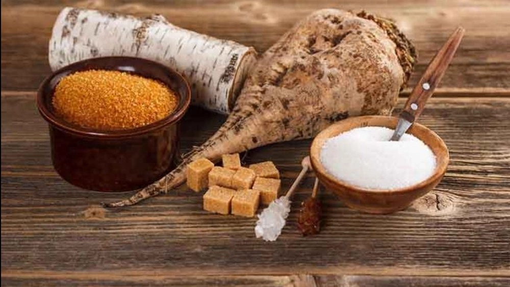 بهترین تولیدکننده قند و شکر چغندر در میاندوآب