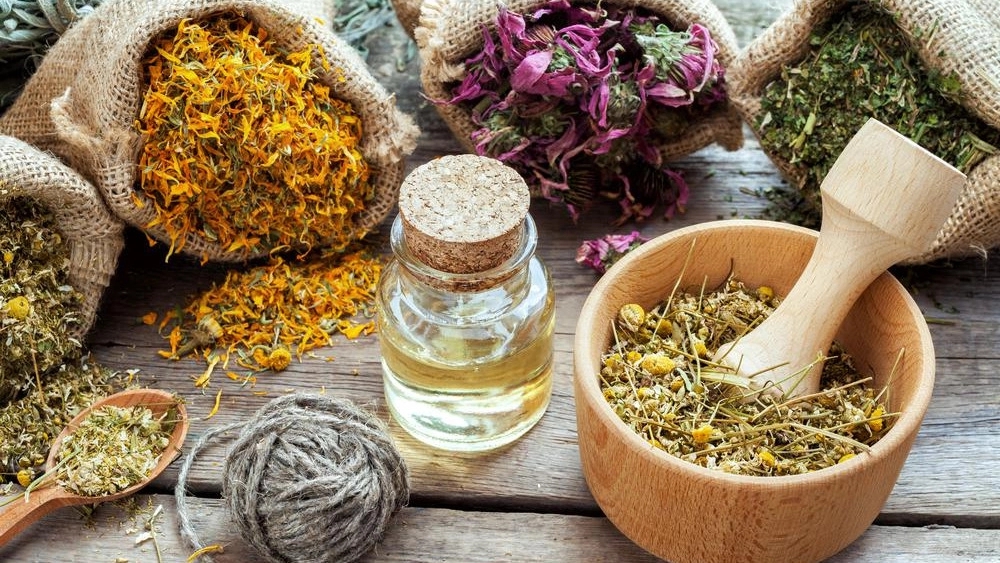 پرفروش‌ترین گیاهان دارویی سال 1405 برای عطاری‌ها و صادرکنندگان