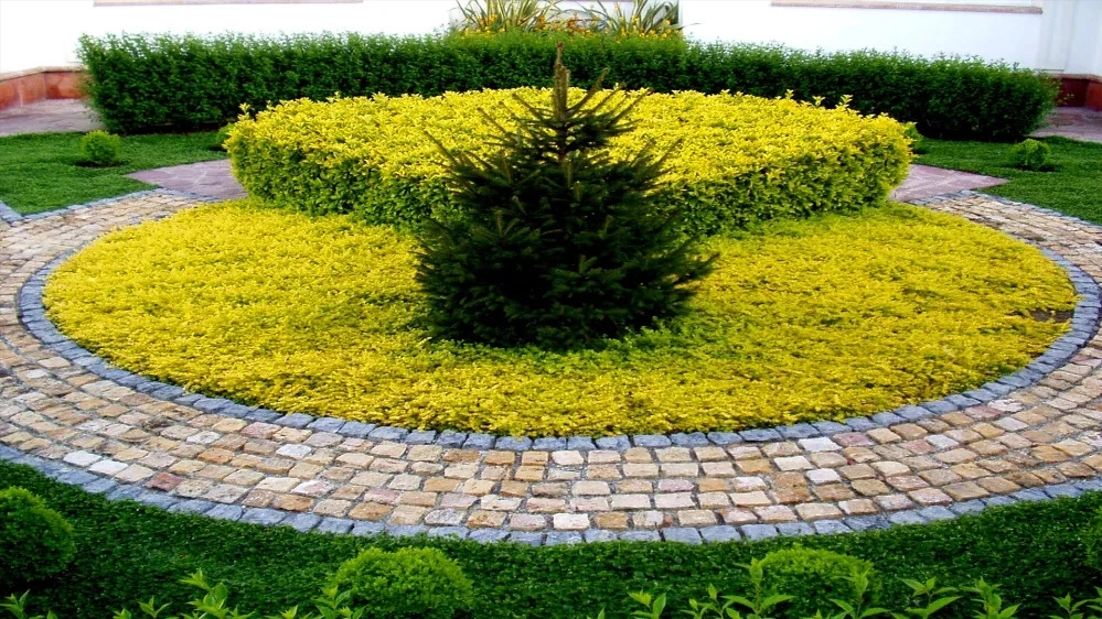 محوطه سازی در البرز با شرکت کیان پی سازان آذر