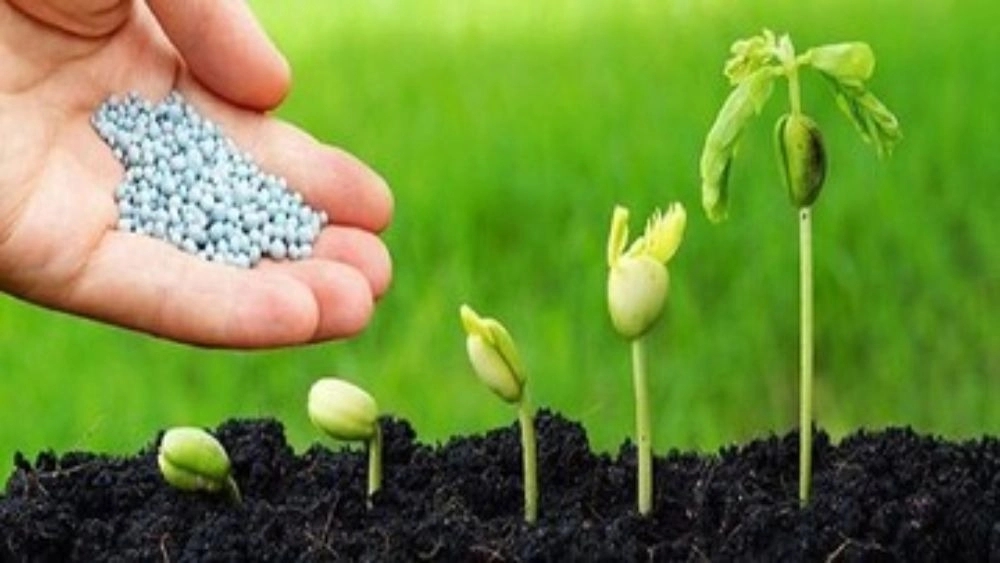 بهترین فروشگاه کود شیمیایی در بوکان کجاست؟
