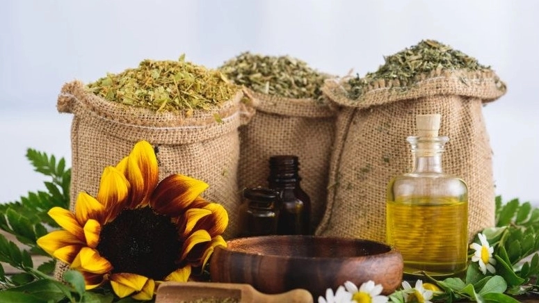 بهترین روغنهای گیاهی درمانی برای کنترل ریزش مو در مشهد