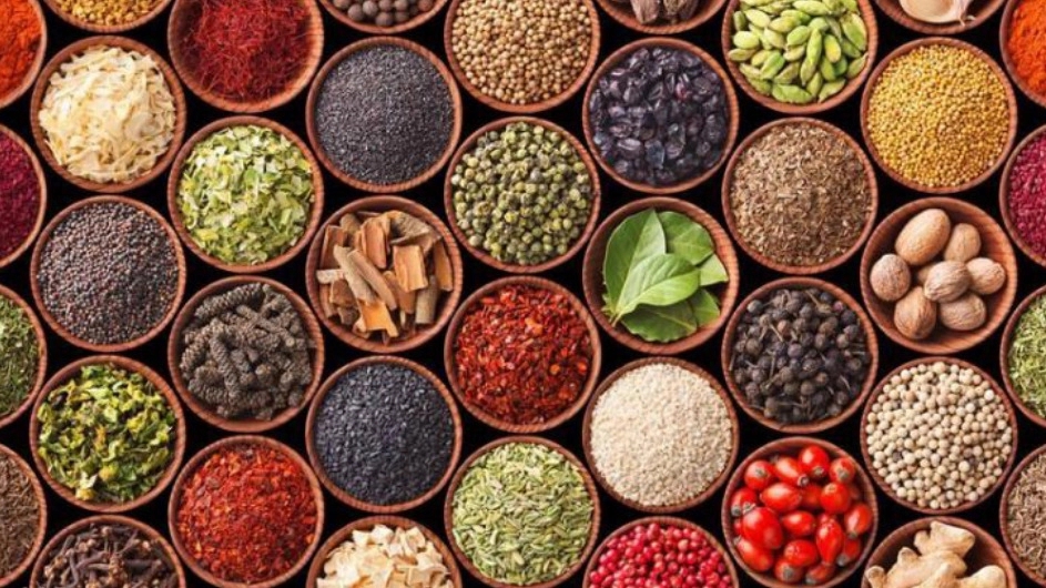 خرید ادویه‌ جات اصل در سبزوار و راهنمای انتخاب بهترین ادویه با قیمت مناسب
