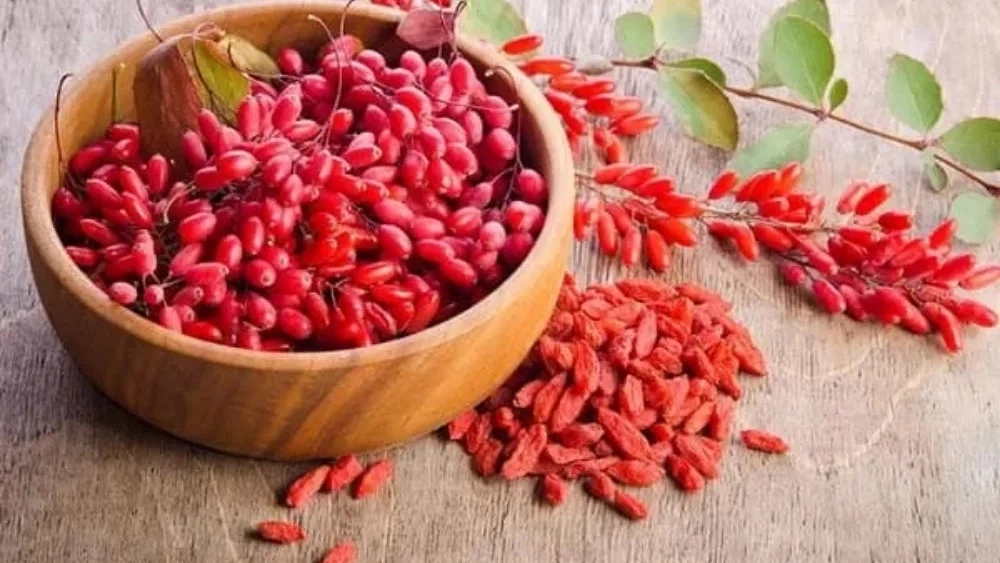 خرید زرشک قائنات؛ مقایسه کیفیت‌ها و قیمت زرشک در بازار خراسان جنوبی