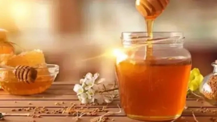 خرید عسل طبیعی ارگانیک اصفهان از تولیدکننده زرین تلاش