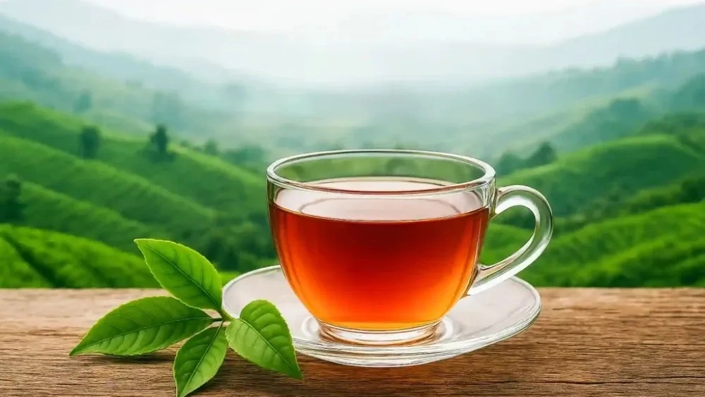 خرید و فروش عمده و خرده چای ارگانیک تأمین مستقیم رستوران و فروشگاه