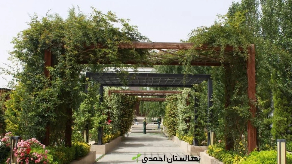 فروش گل و گیاه باغی و نهال میوه‌دار