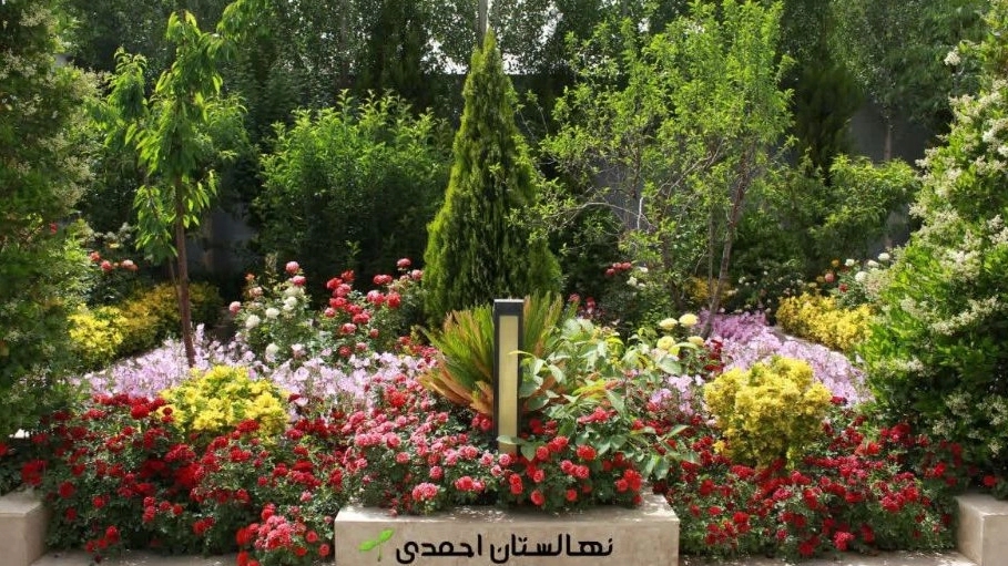 فروش انواع گل و گیاه بیرونی مناسب باغ و ویلا در البرز