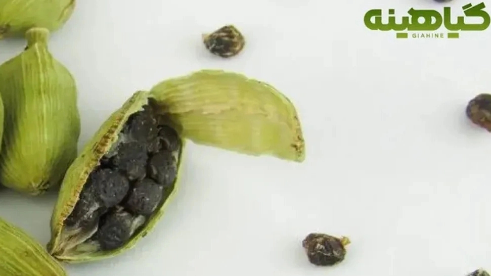 فروشگاه زرین گیاهینه، فروش انواع ادویه جات در اصفهان