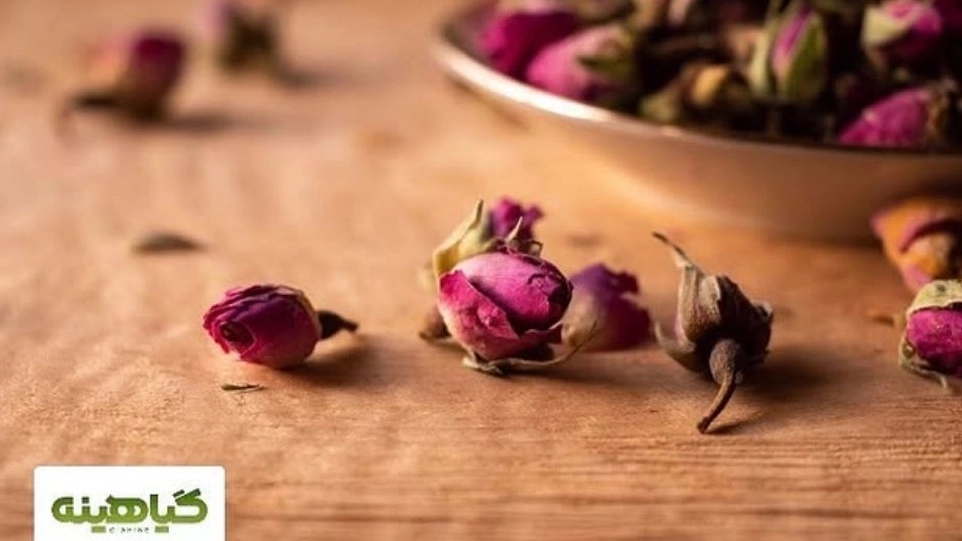 مرکز تخصصی فروش عمده انواع ادویه جات در اصفهان