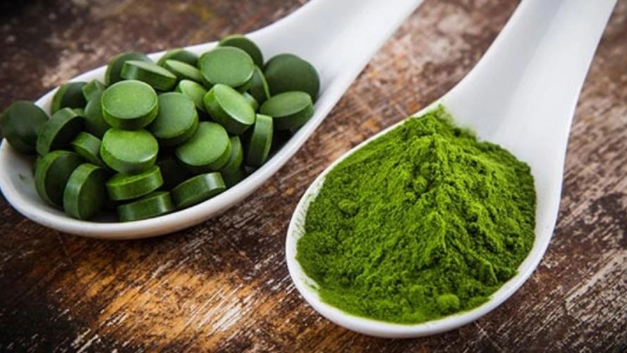 خرید استوک جلبک کلرلا برای پرورش میگو و ماهی