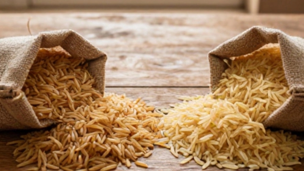 فروش عمده برنج عنبربو و کامفیروز در شیراز و فارس