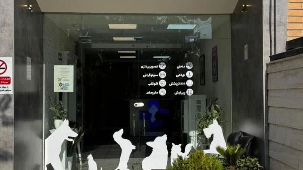 بهترین مرکز درمانی سگ و گربه در اصفهان