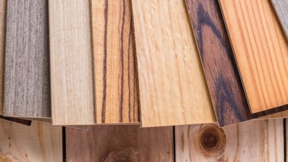 انواع چوب مصرفی در صنعت مبلمان