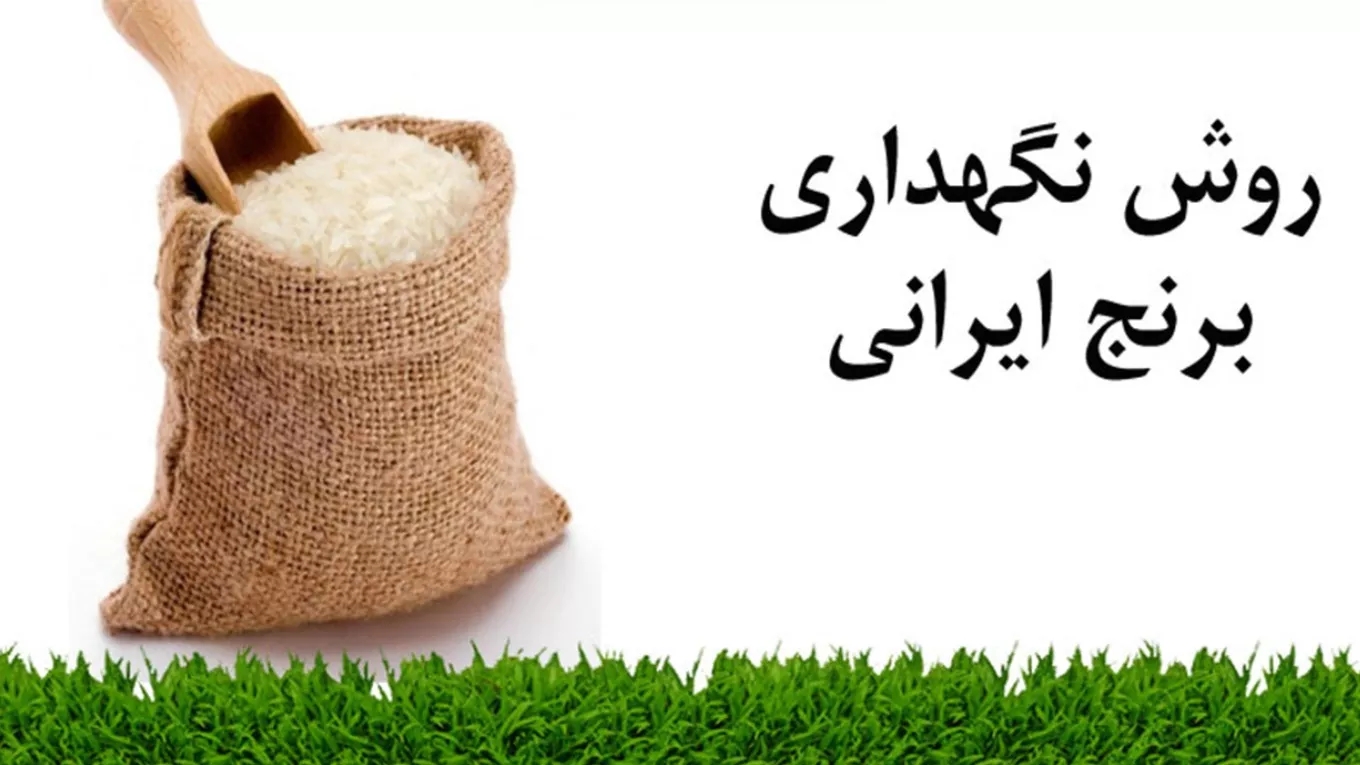 روش نگهداری برنج