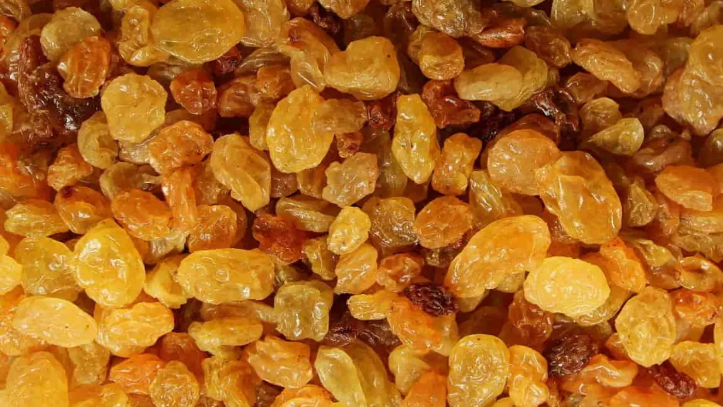 انواع محصولات صادراتی ایران