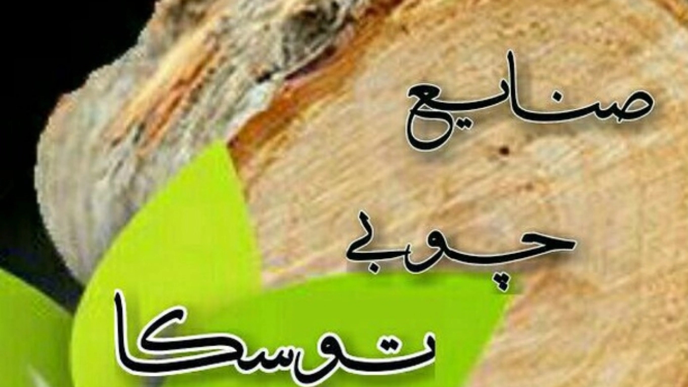 ویدئوهای آشنایی با مجموعه ما