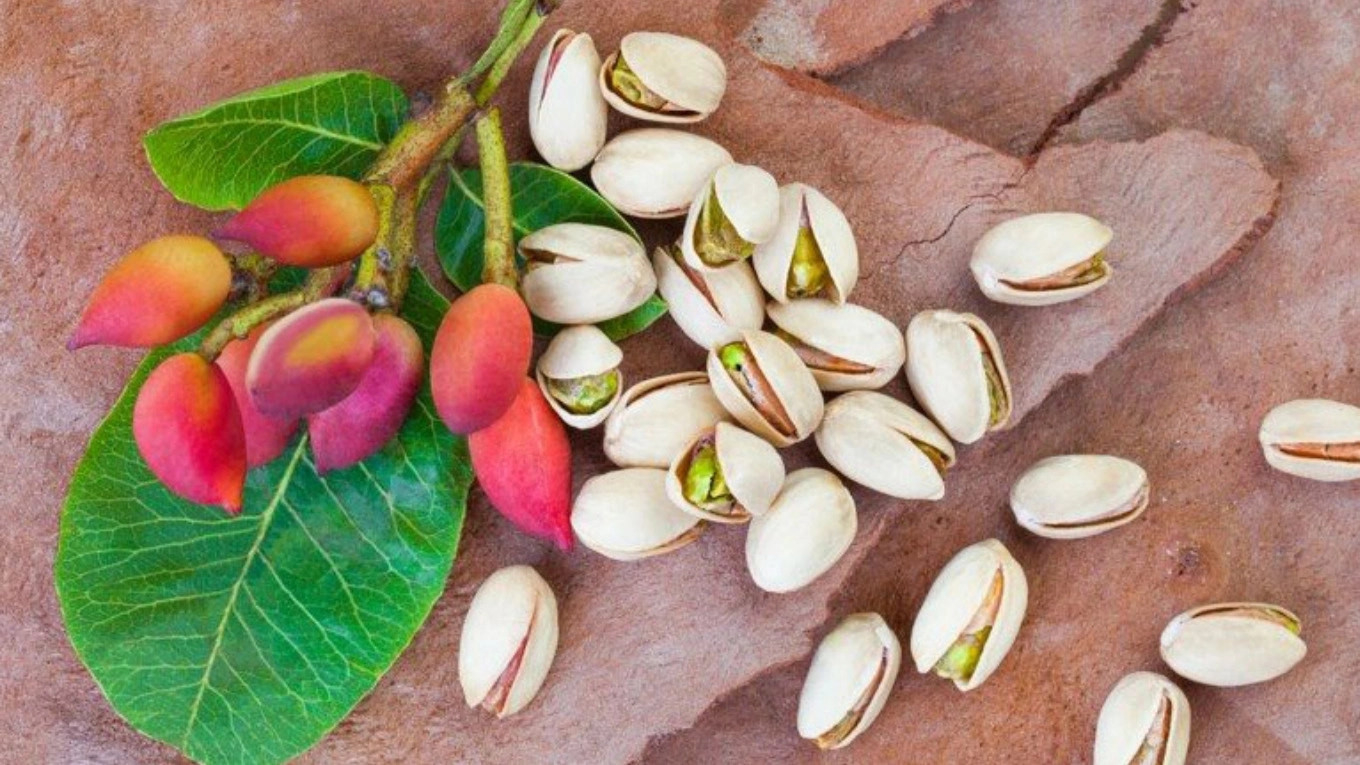 خواص پسته