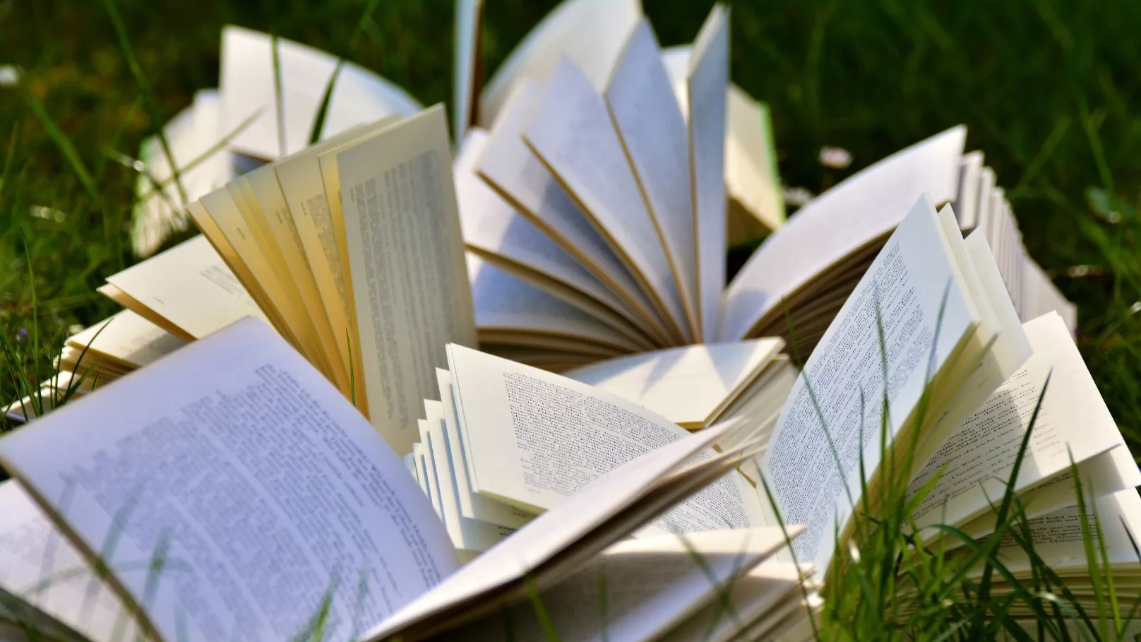 مترجم کتاب کیست؟