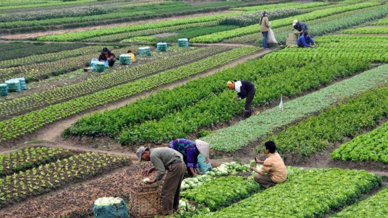 چالش های موجود در بخش کشاورزی ایران