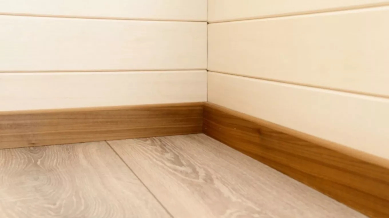 انواع قرنیز