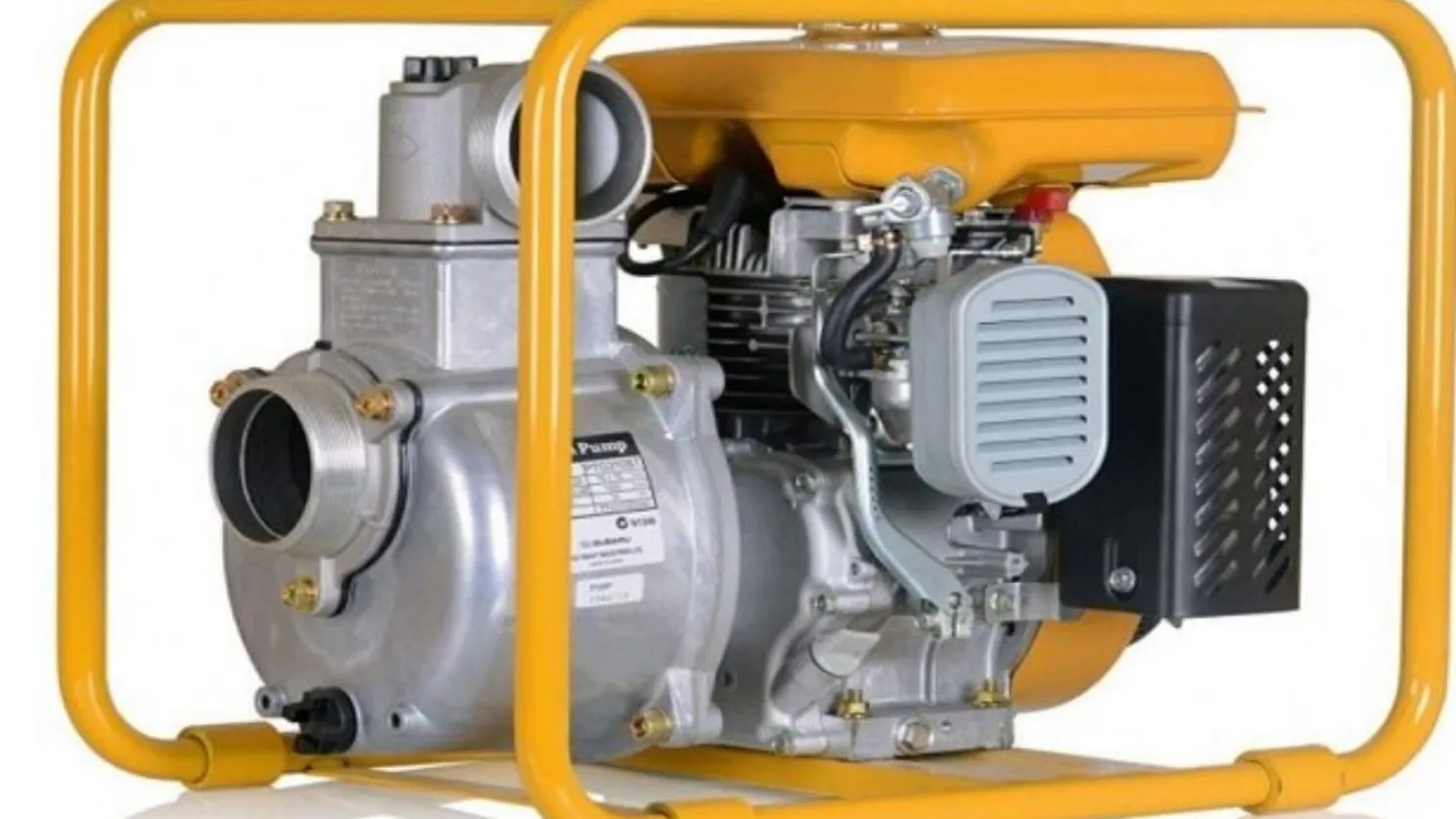 water motor (pump motor)