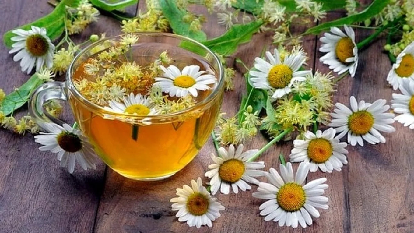بابونه و ترکیبات تشکیل‌دهنده‌ی آن