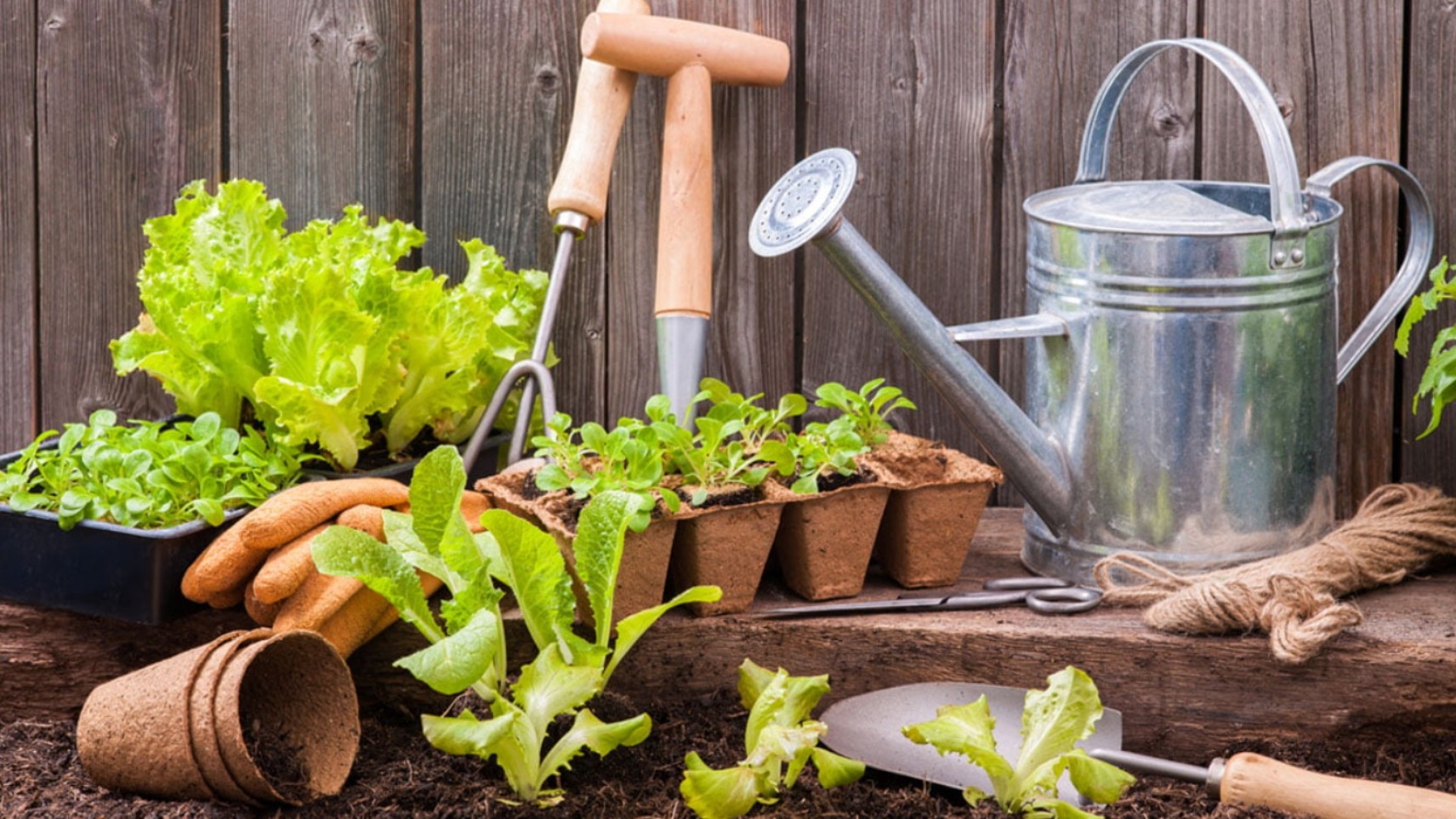 راهنمای خرید بیل و کلنگ