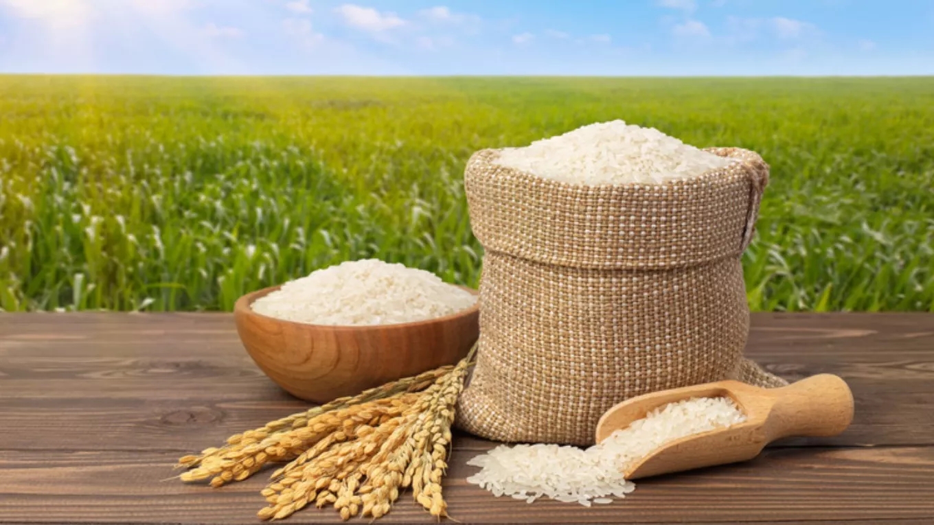 روش‌های تشخیص برنج مرغوب ایرانی