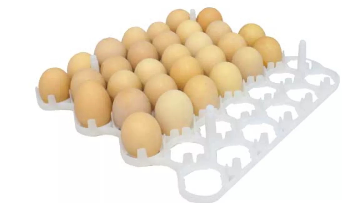 اصول جوجه کشی