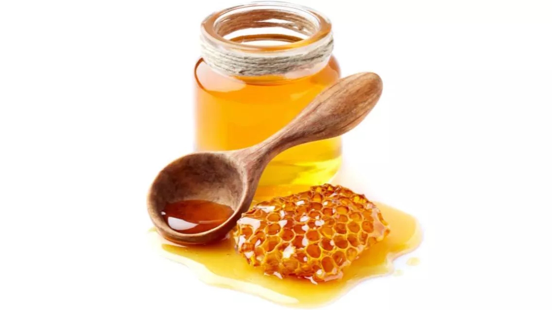 وگن ها چه چیزهایی نمی خورند؟