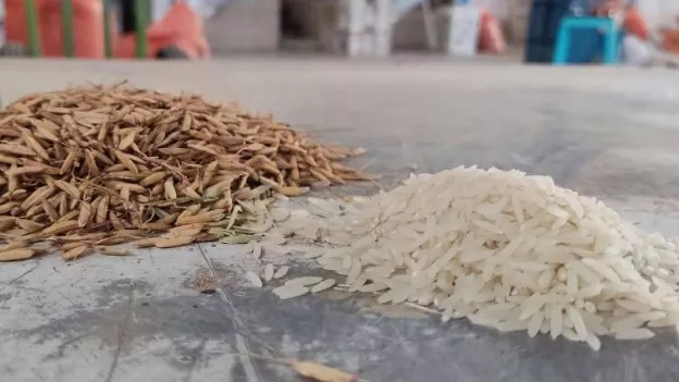 دستگاه شالی کوبی خانگی