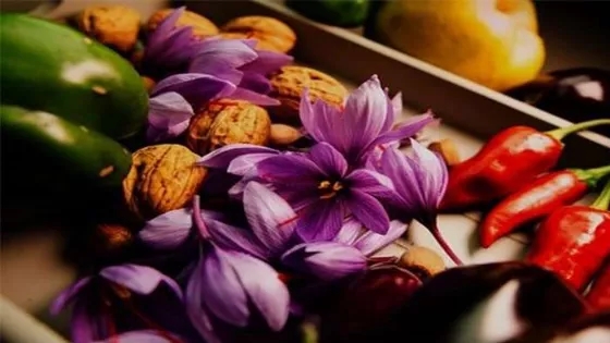 طرز کاشت زعفران