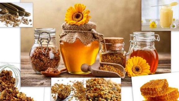 هر آنچه که باید درباره زنبور عسل بدانید!