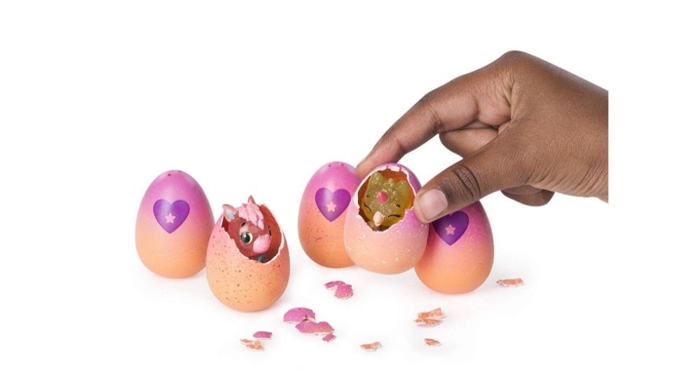انواع شانسی