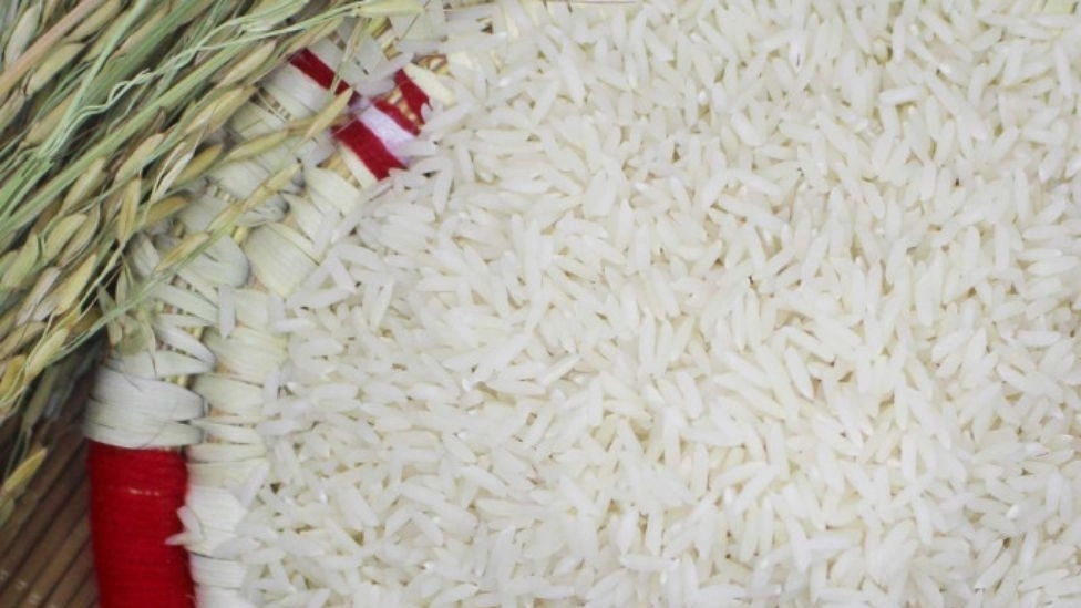 مشخصات برنج مرغوب ایرانی