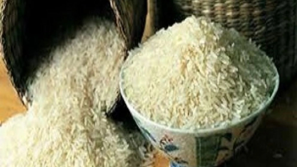 نکات خرید برنج مرغوب