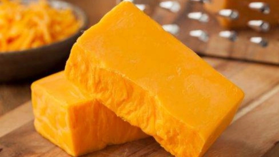 انواع پنیر پیتزا