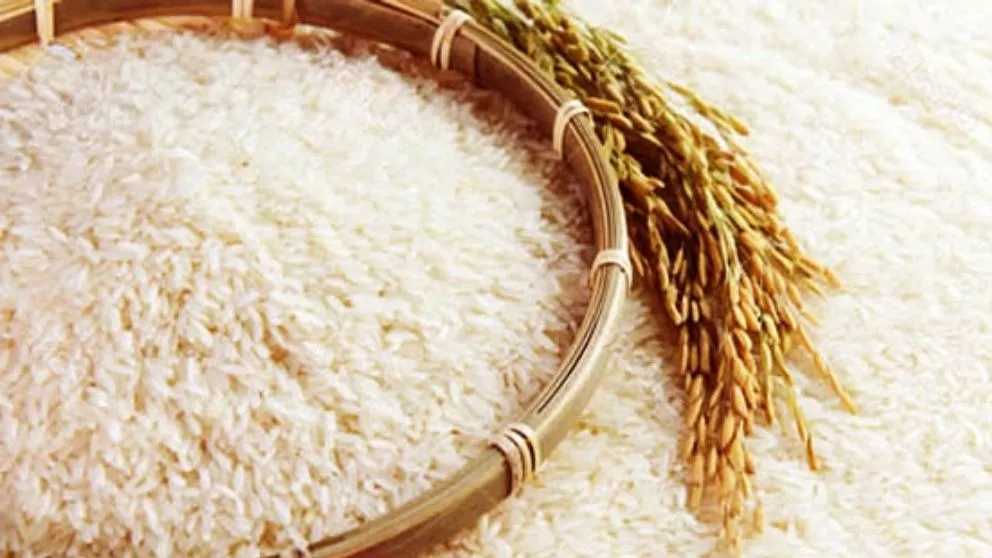 انواع برنج ایرانی