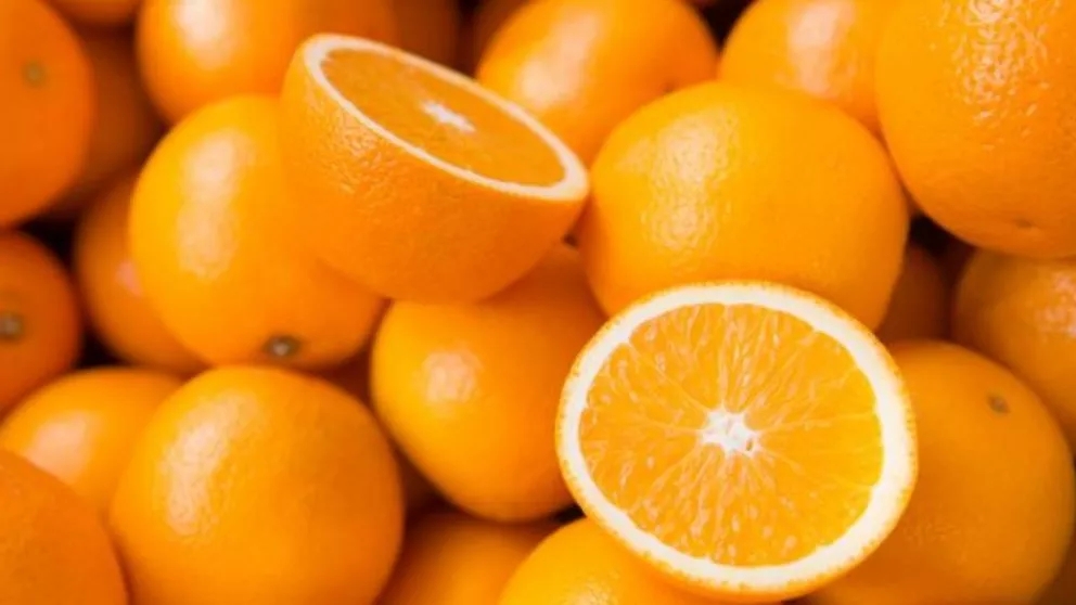 انواع پرتقال و ویژگی‌های آنها