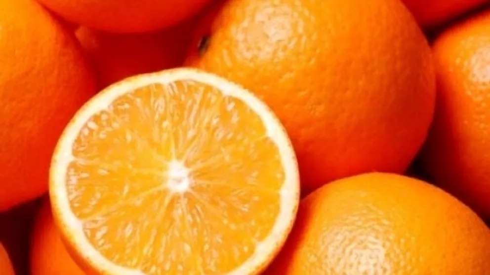 انواع پرتقال و ویژگی‌های آنها