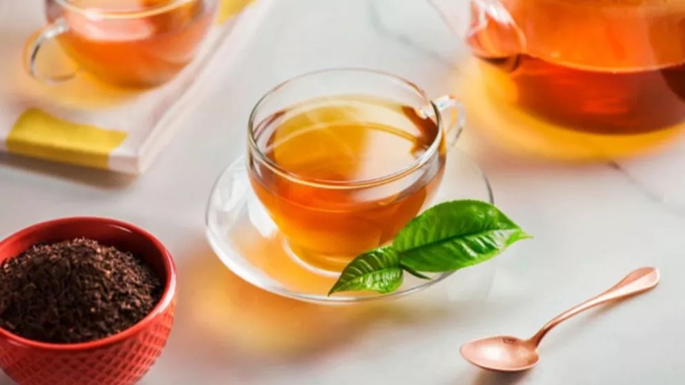 چقدر در مورد خواص چای بهاره و علت نام گذاری آن می‌دانید؟