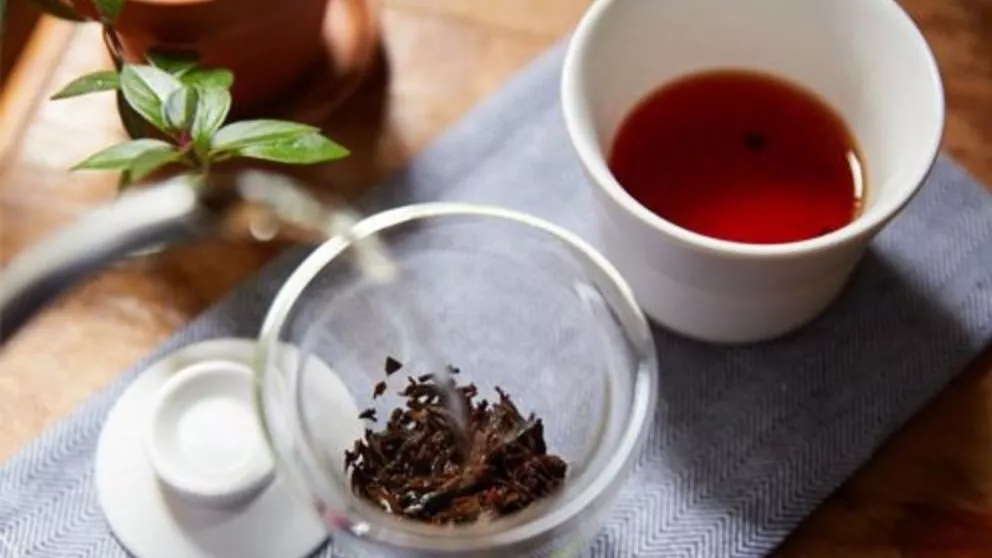 چقدر در مورد خواص چای بهاره و علت نام گذاری آن می‌دانید؟