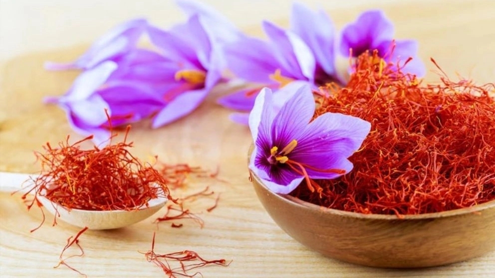 روش های تشخیص زعفران اصل
